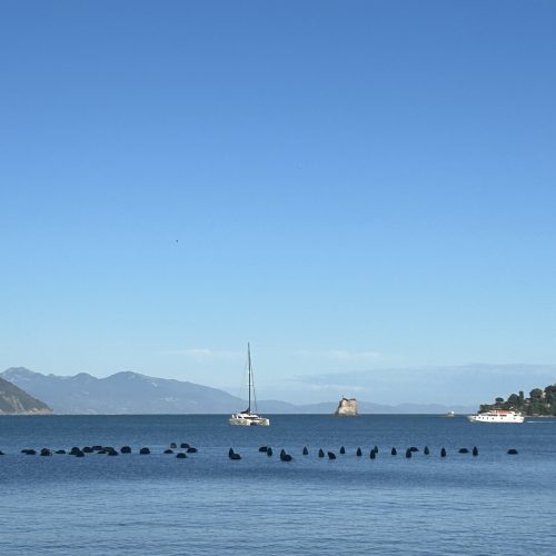 image00001